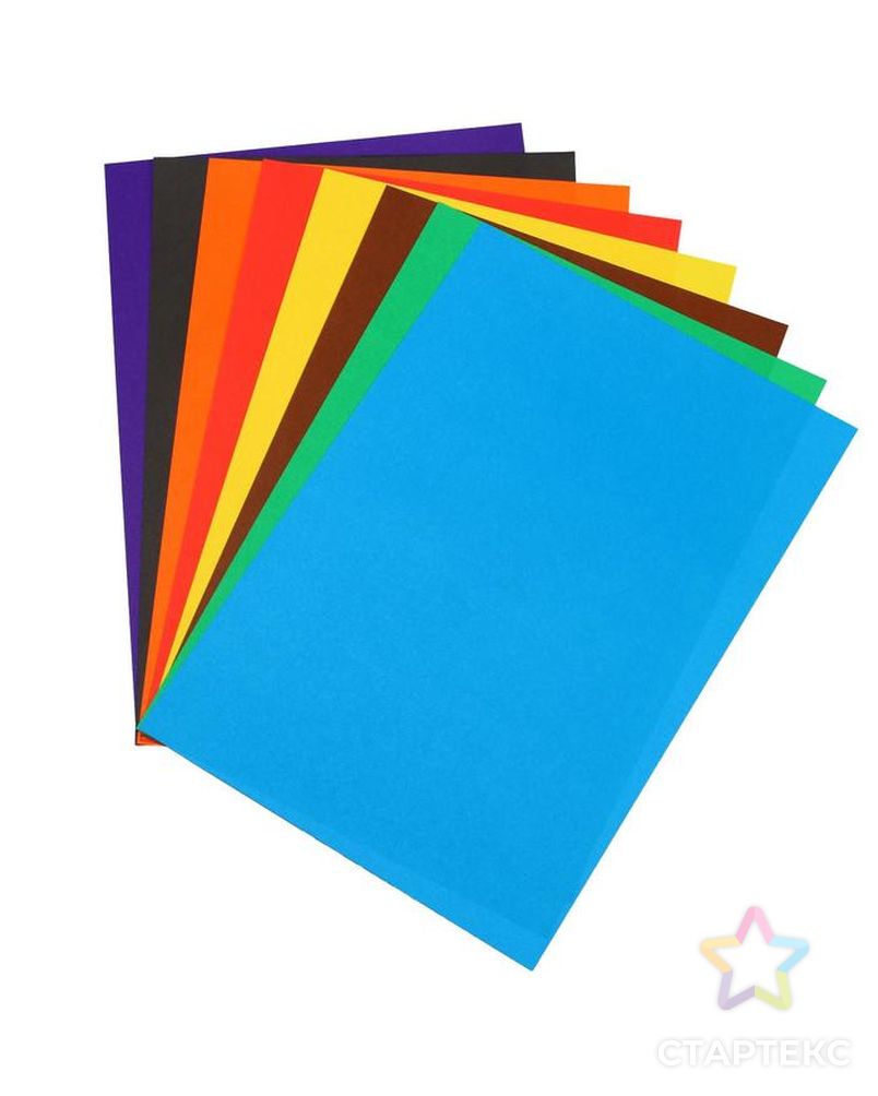 Набор для детского творчества А4, 8 листов цветная бумага + 8 листов цветной картон + 4 листа белый картон, «Zoo» Лев арт. СМЛ-217526-1-СМЛ0007387149 4