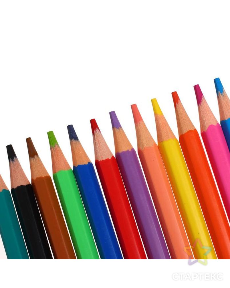 Пластиковые цветные карандаши 12 цветов, ErichKrause Basic, шестигранные арт. СМЛ-188735-1-СМЛ0007398659 4