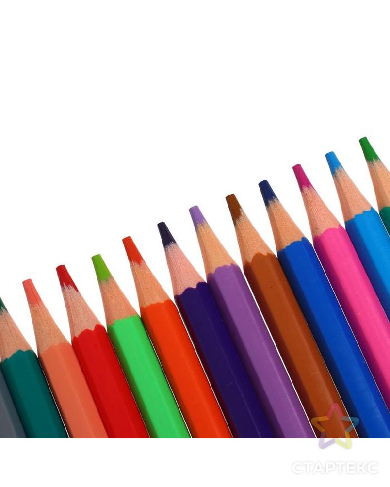 Пластиковые цветные карандаши 18 цветов, ErichKrause Basic, шестигранные арт. СМЛ-188736-1-СМЛ0007398660 4