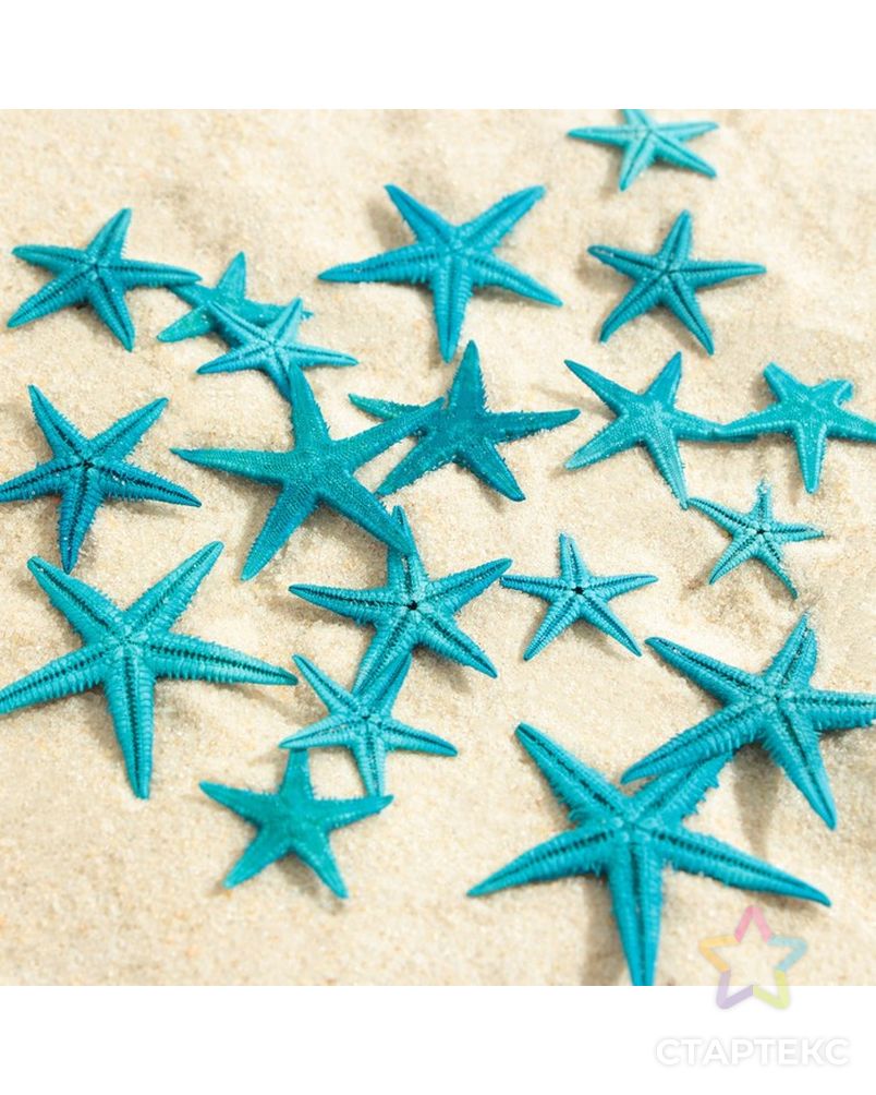 Набор натуральных морских звезд,  1,5 - 2,5 см, 20 шт, синий арт. СМЛ-221836-1-СМЛ0007402193 1
