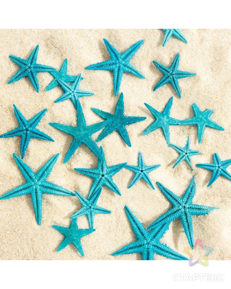 Набор натуральных морских звезд,  1,5 - 2,5 см, 20 шт, синий арт. СМЛ-221836-1-СМЛ0007402193 2