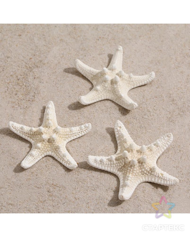Набор из 3 морских звезд, размер каждой 5-10 см, белые арт. СМЛ-221842-1-СМЛ0007402199 1