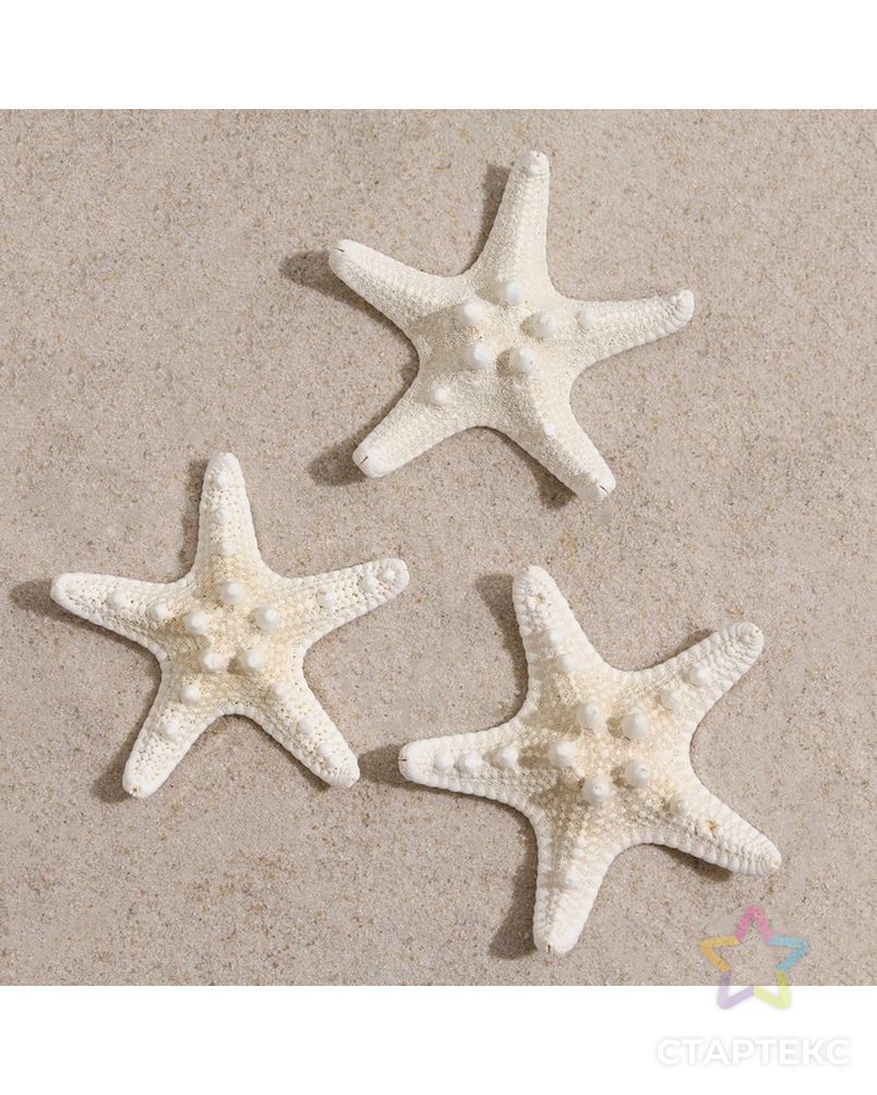 Набор из 3 морских звезд, размер каждой 5-10 см, белые арт. СМЛ-221842-1-СМЛ0007402199 2