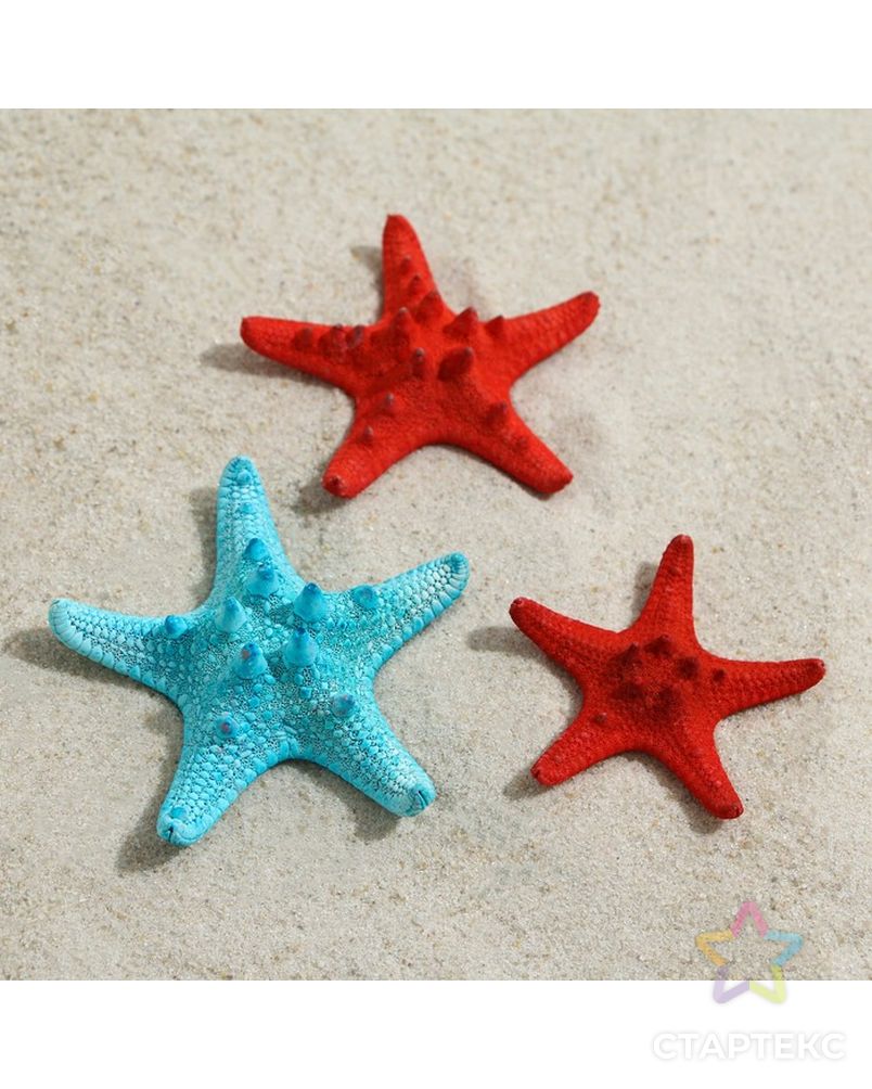 Набор из 3 морских звезд, размер каждой 5-10 см, красно-синий арт. СМЛ-221843-1-СМЛ0007402200 1