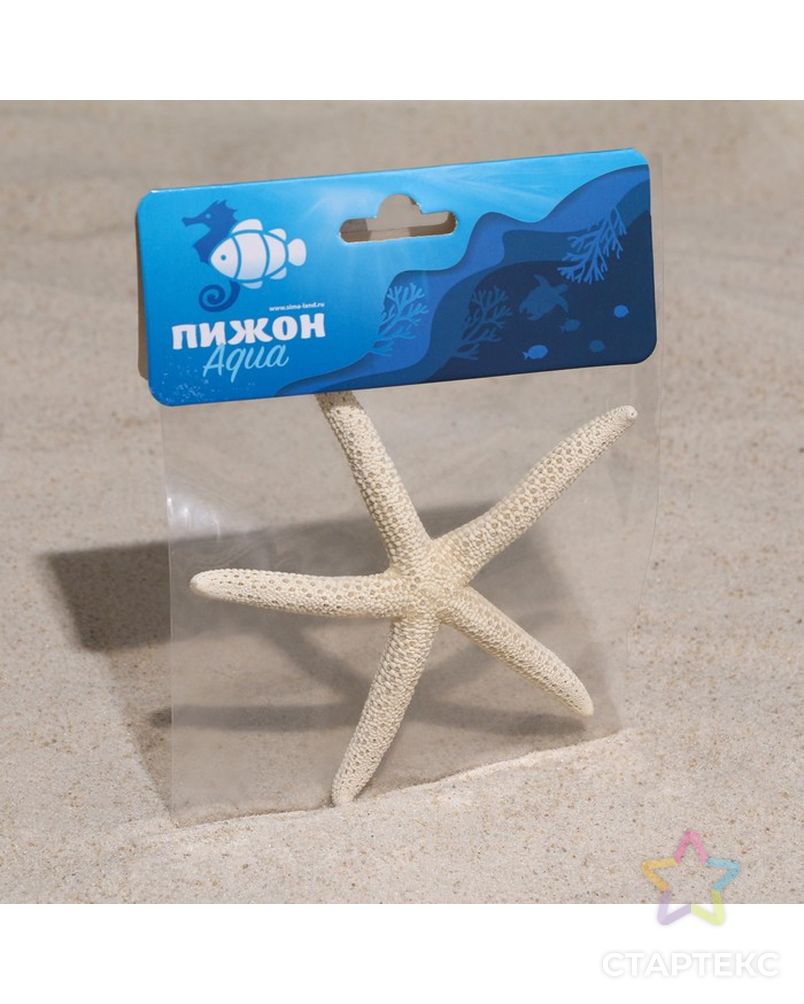 Морская звезда декоративная, 10-16 см арт. СМЛ-221844-1-СМЛ0007402201 5
