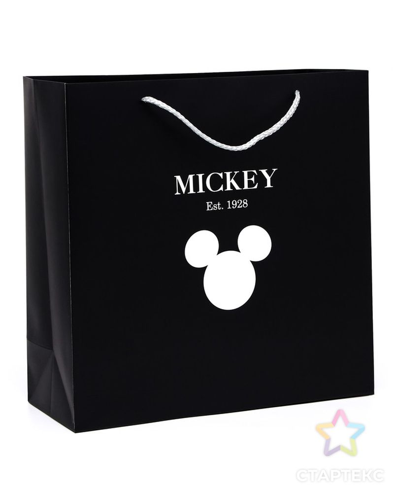 Пакет ламинат "Mickey & Co", Микки Маус, 30 х 30 х 12 арт. СМЛ-227872-1-СМЛ0007425219 1