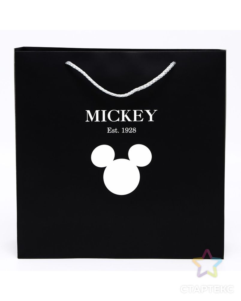Пакет ламинат "Mickey & Co", Микки Маус, 30 х 30 х 12 арт. СМЛ-227872-1-СМЛ0007425219 2