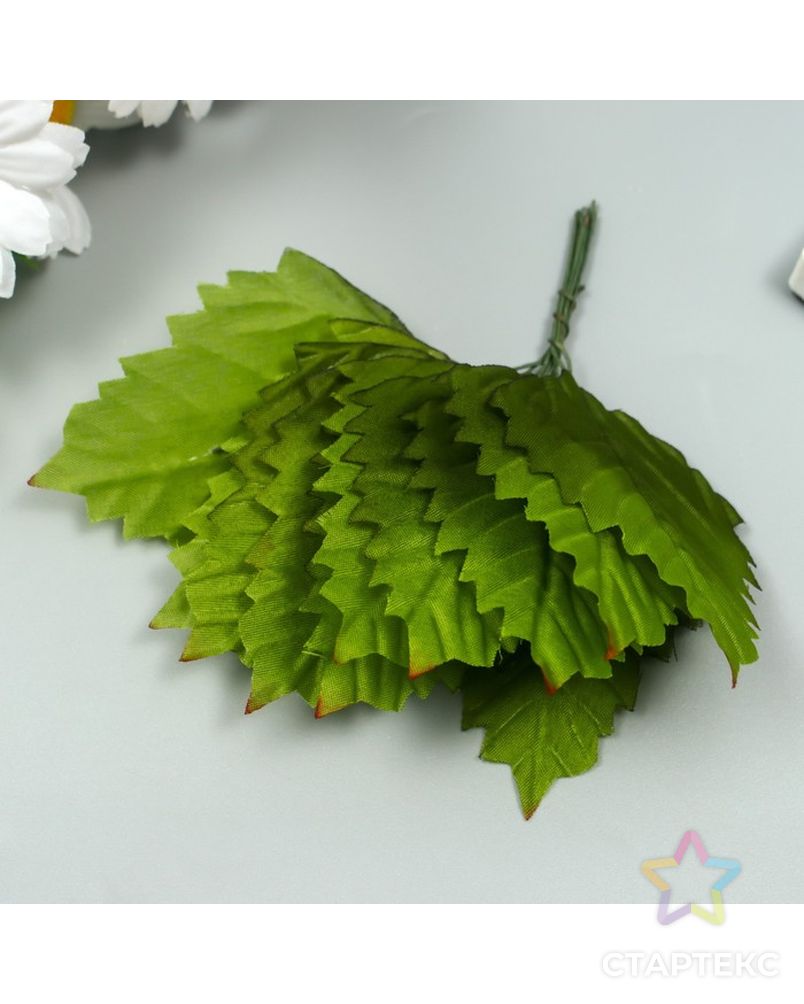 Декор для творчества "Берёзовый лист" 1 букет=12 листиков зелёный 10х8х6 см арт. СМЛ-222943-1-СМЛ0007445276 1