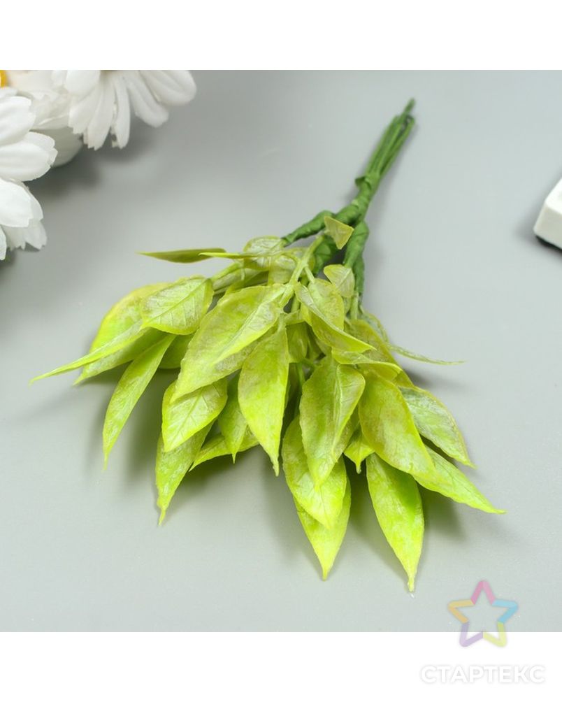 Искусственное растение для творчества "Рукус" 1 букет=6 веточек зелёный 13 см арт. СМЛ-222970-1-СМЛ0007445313 1