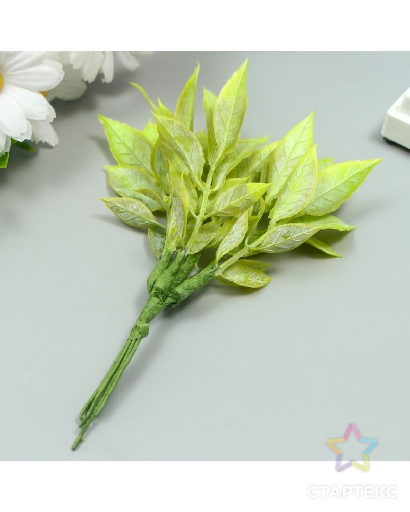 Искусственное растение для творчества "Рукус" 1 букет=6 веточек зелёный 13 см арт. СМЛ-222970-1-СМЛ0007445313 2