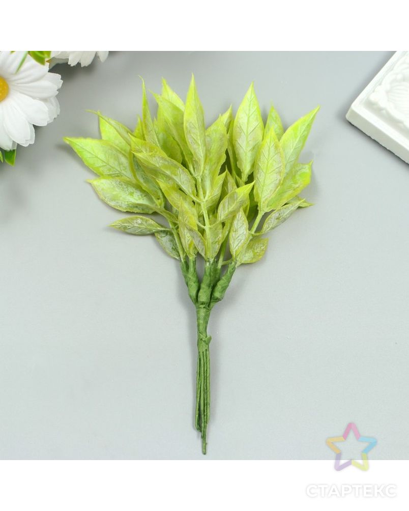 Искусственное растение для творчества "Рукус" 1 букет=6 веточек зелёный 13 см арт. СМЛ-222970-1-СМЛ0007445313 3