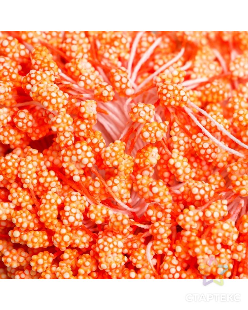 Тычинки для цветов "Капельки пузырьковые оранж" 4х7 мм набор 700 шт длина 6,5 см арт. СМЛ-224755-1-СМЛ0007459484 3