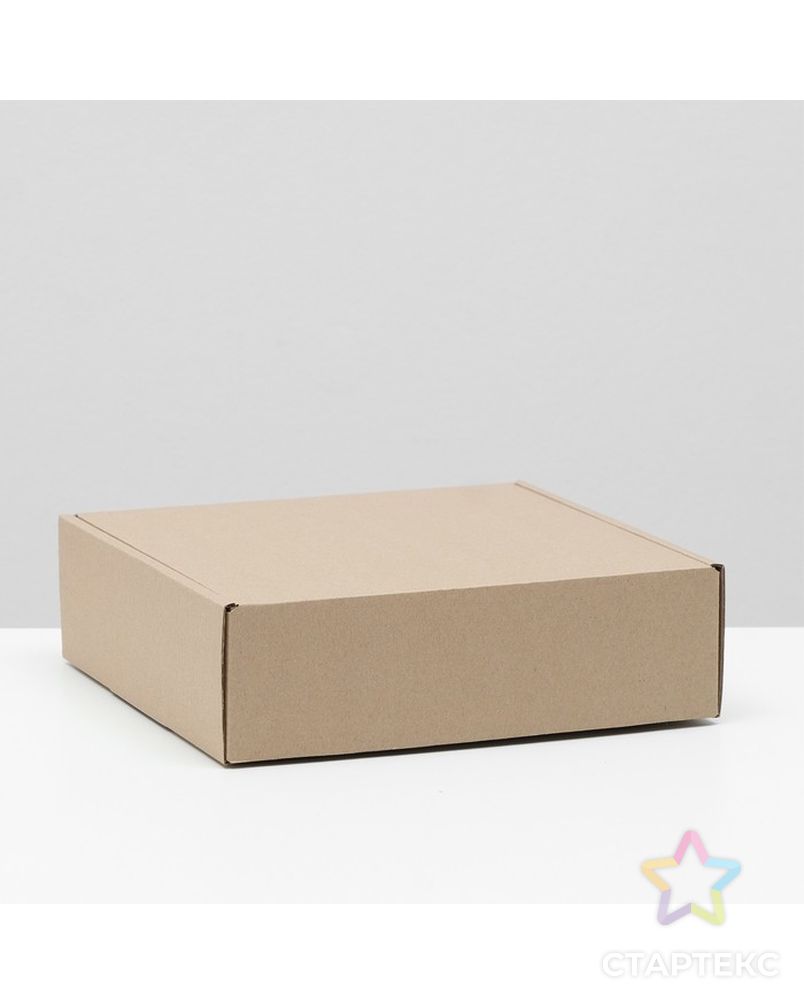 Коробка самосборная, бурая, 24 х 24 х 7,5 см, арт. СМЛ-220735-1-СМЛ0007510999 1