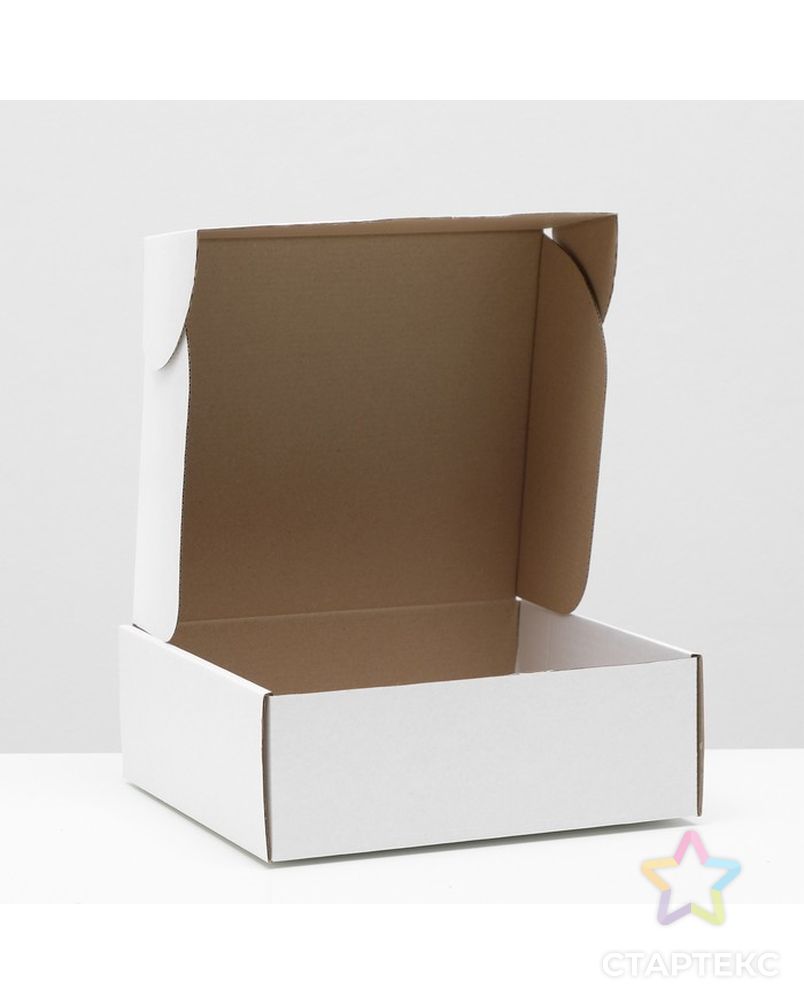 Коробка самосборная, белая, 26 х 24 х 10 см, арт. СМЛ-220738-1-СМЛ0007511004 2