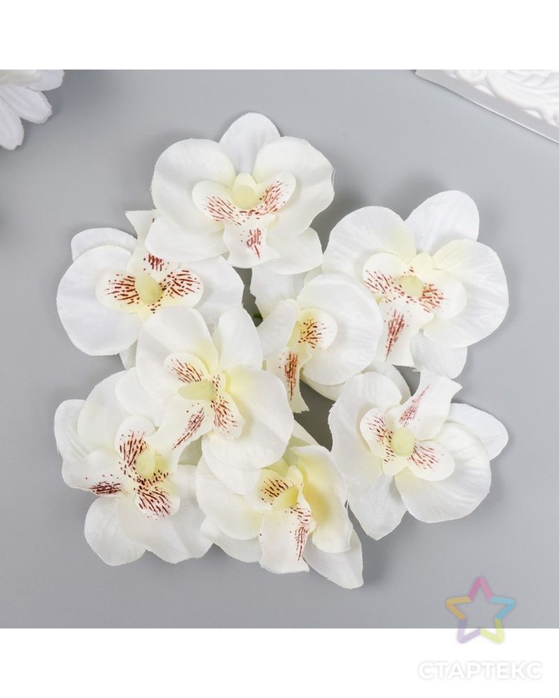 Бутон на ножке для декорирования "Орхидея белая" d=5,5 см арт. СМЛ-227126-1-СМЛ0007516595 3