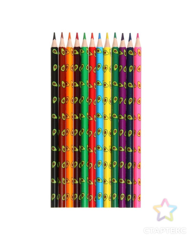 Карандаши цветные пластиковые 12 цветов, deVENTE Avocado, трёхгранные, 2М, d-3 мм, тонированные в чёрный арт. СМЛ-223562-1-СМЛ0007578699 2