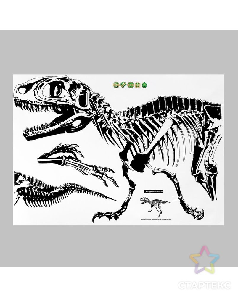 Наклейка пластик интерьерная чёрная "Тиранозавр" 50х70 см арт. СМЛ-228933-1-СМЛ0007599463 2