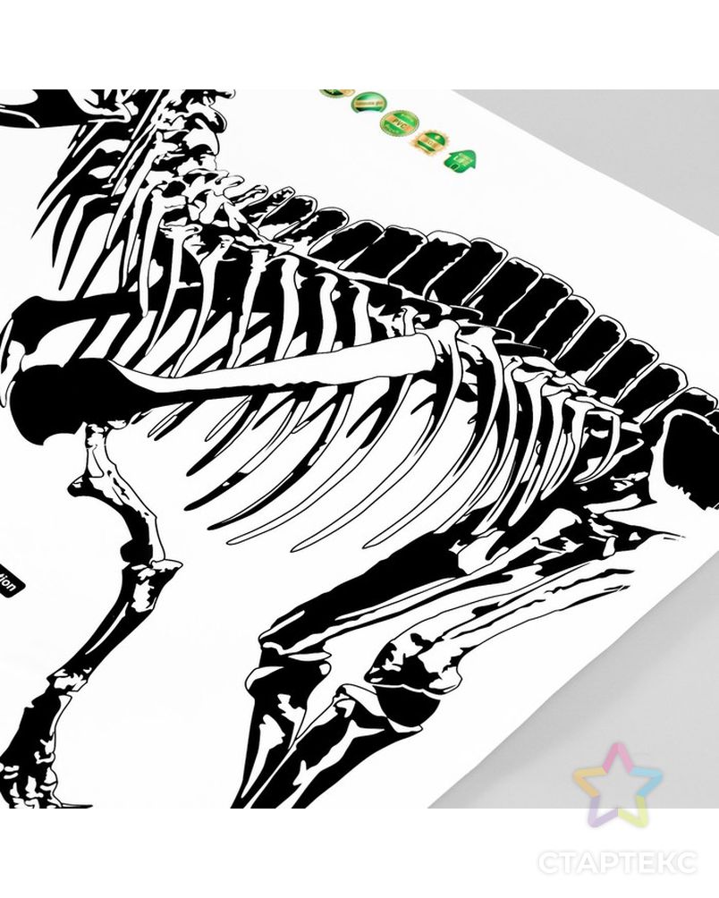 Наклейка пластик интерьерная чёрная "Тиранозавр" 50х70 см арт. СМЛ-228933-1-СМЛ0007599463 3
