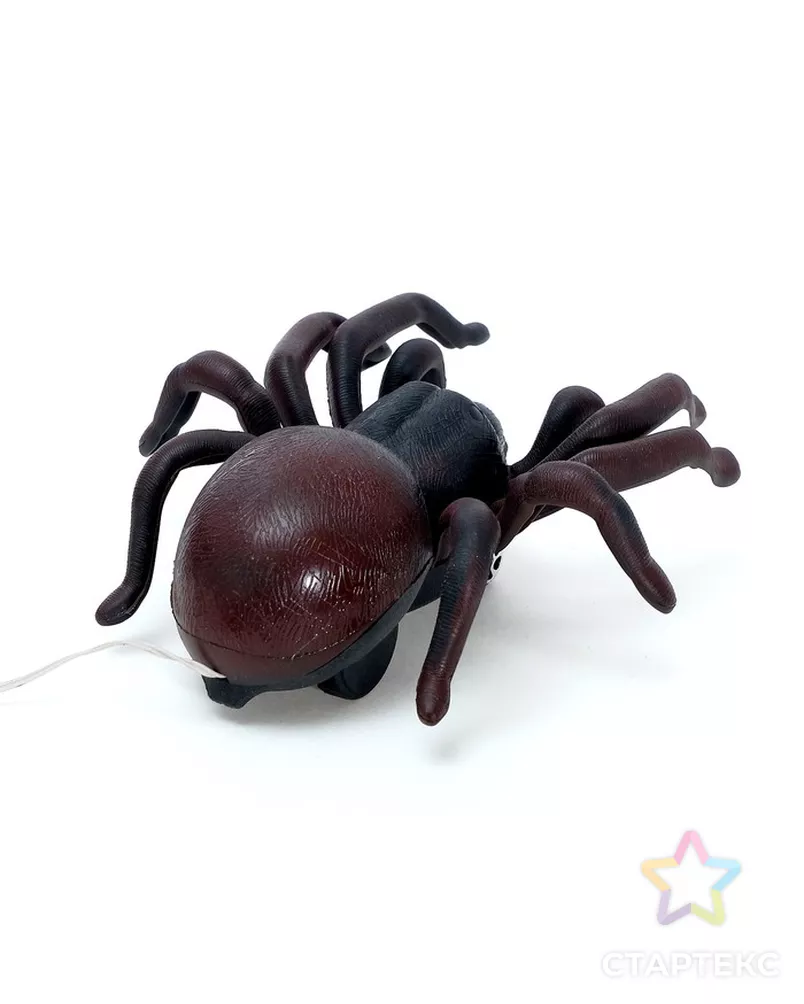 Животное «Паук», на дистанционном управлении, работает от батареек, цвета МИКС арт. СМЛ-102951-1-СМЛ0000867435 - рис. 2