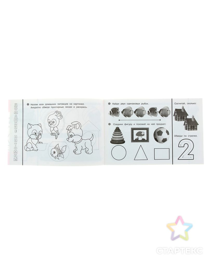 Раскраска с заданиями «Развиваем малыша»: для детей от 3 лет арт. СМЛ-102855-1-СМЛ0000887351