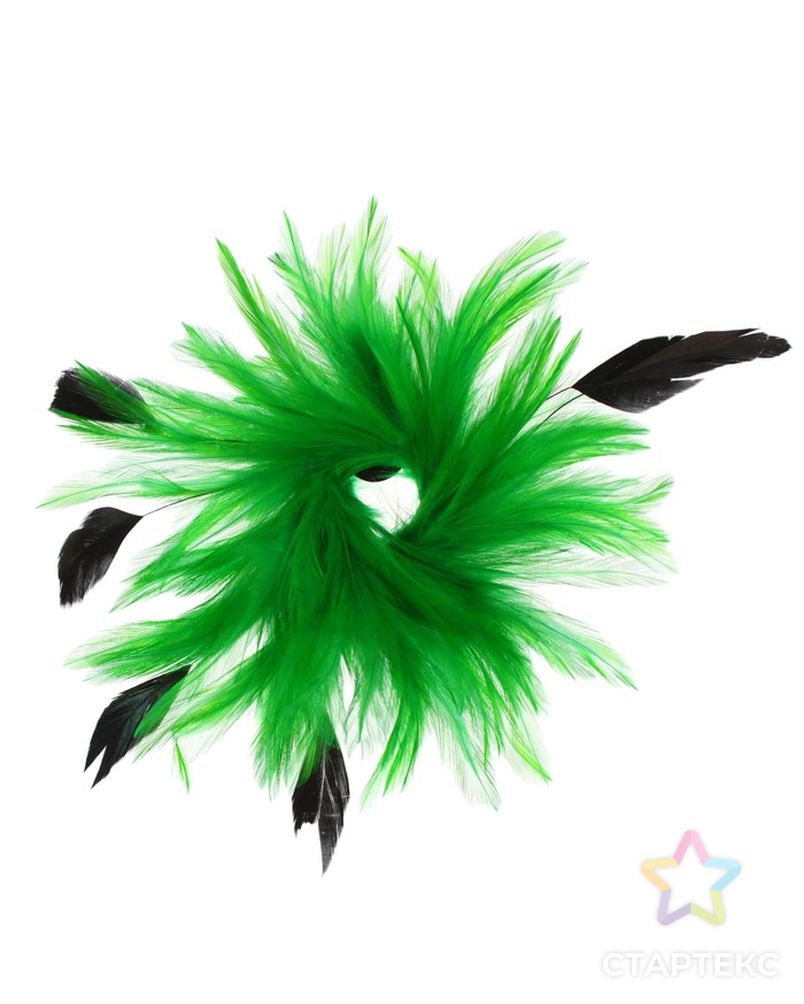 Карнавальное перо, зажим + значок, цвет зелёный арт. СМЛ-25193-1-СМЛ0931294 2